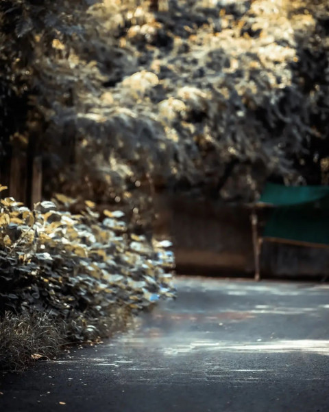 INTERNATIONAL OILFIELD SERVICES